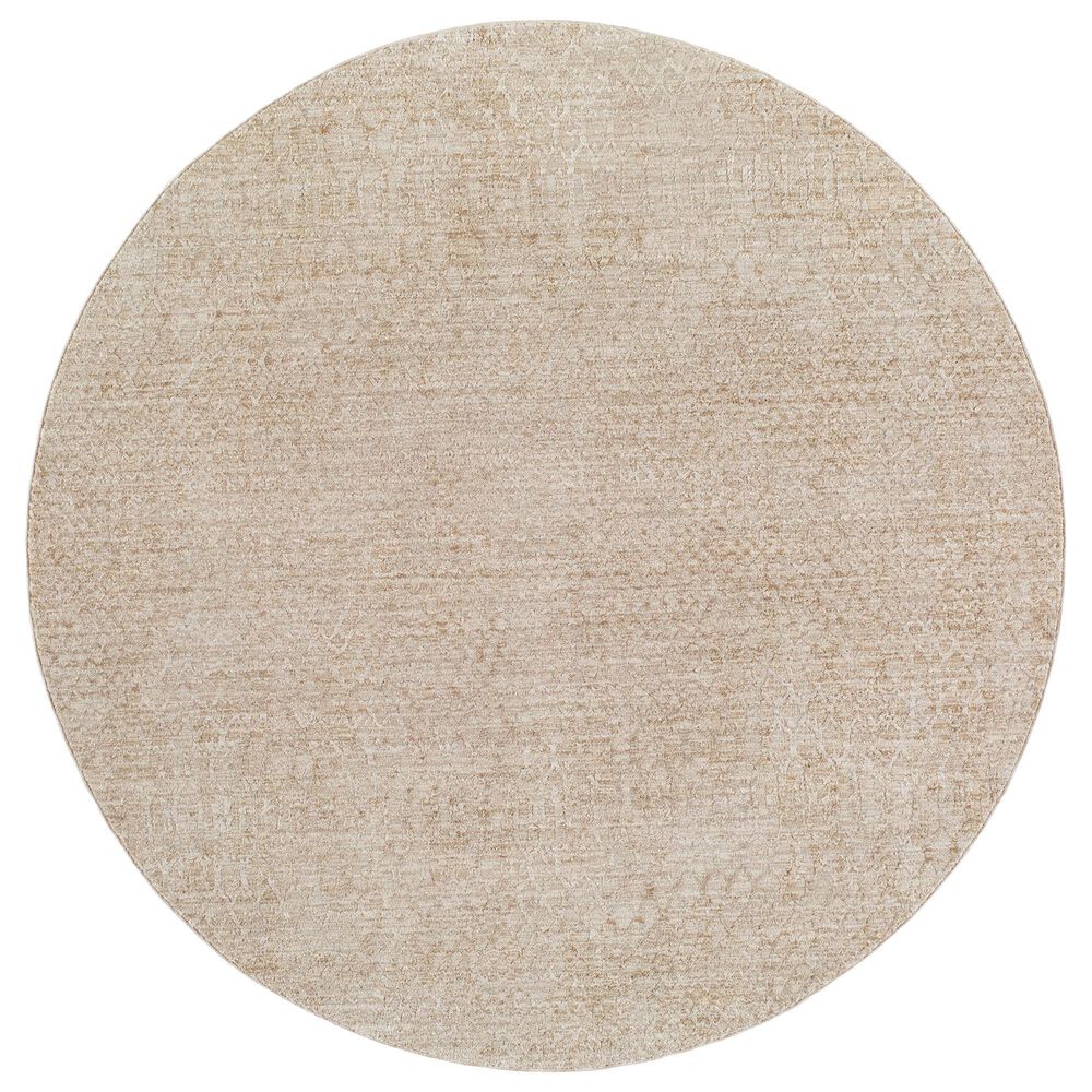 Surya Masterpiece MPC-2303 Medium Gray and Light Gray 6"7" Round Area Rug, , large