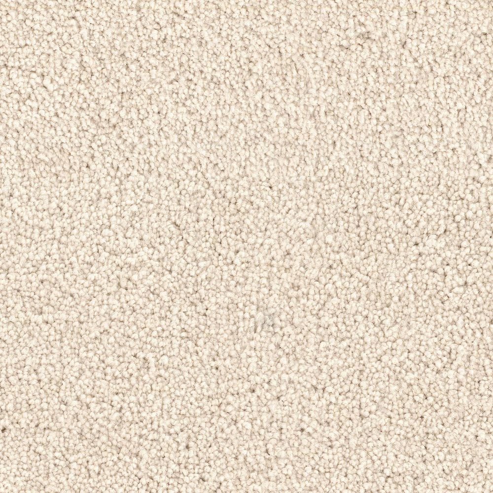 Dixie Home Gentle Wind Carpet in Ray, , large
