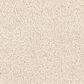 Dixie Home Gentle Wind Carpet in Ray, , large