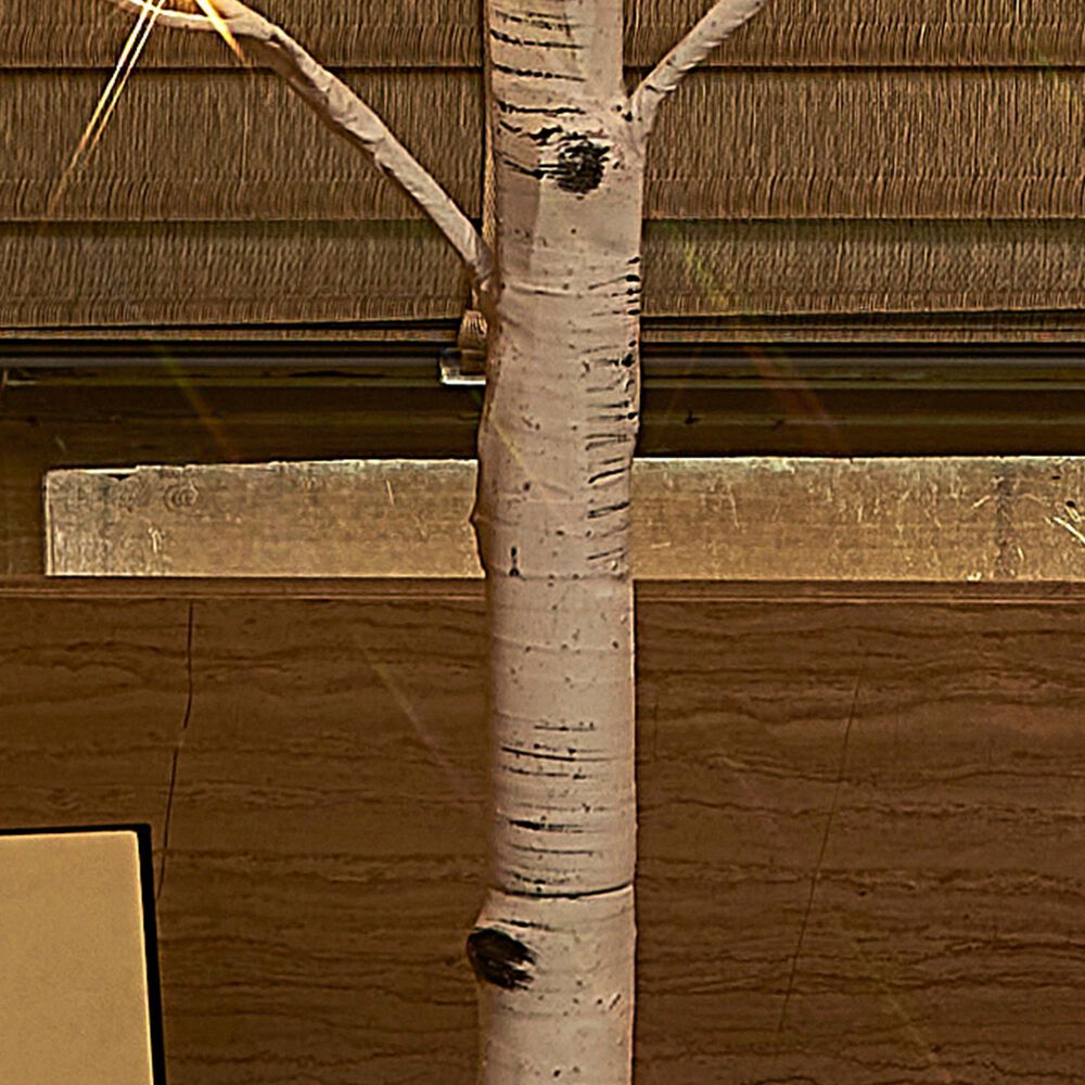 HOMLUX 48" Birch Tree with 200 LED Lights in White, , large