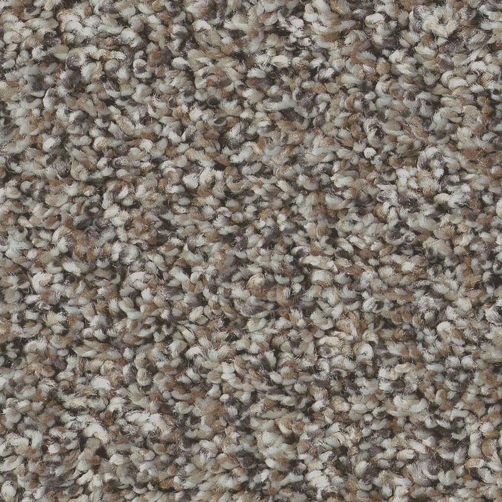Shaw Bold Move Plus Carpet in Country Pebble, , large