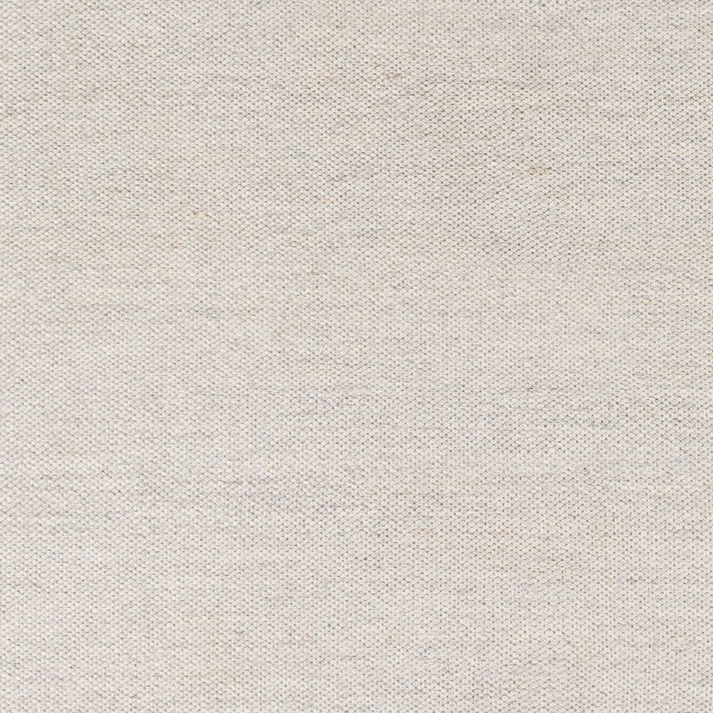 Surya Acacia ACC-2303 2&#39; x 3&#39; Light Gray Area Rug, , large
