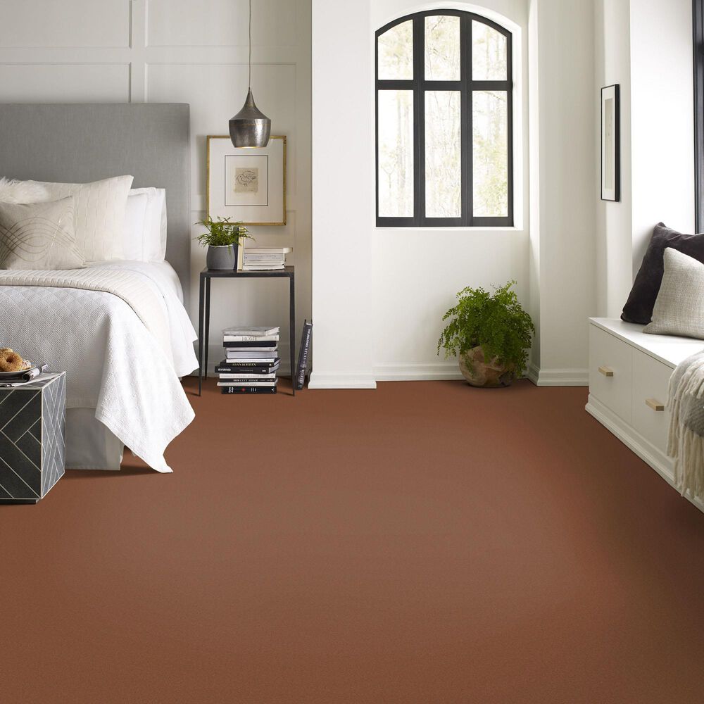 Anderson Tuftex Finery Carpet in Copper, , large