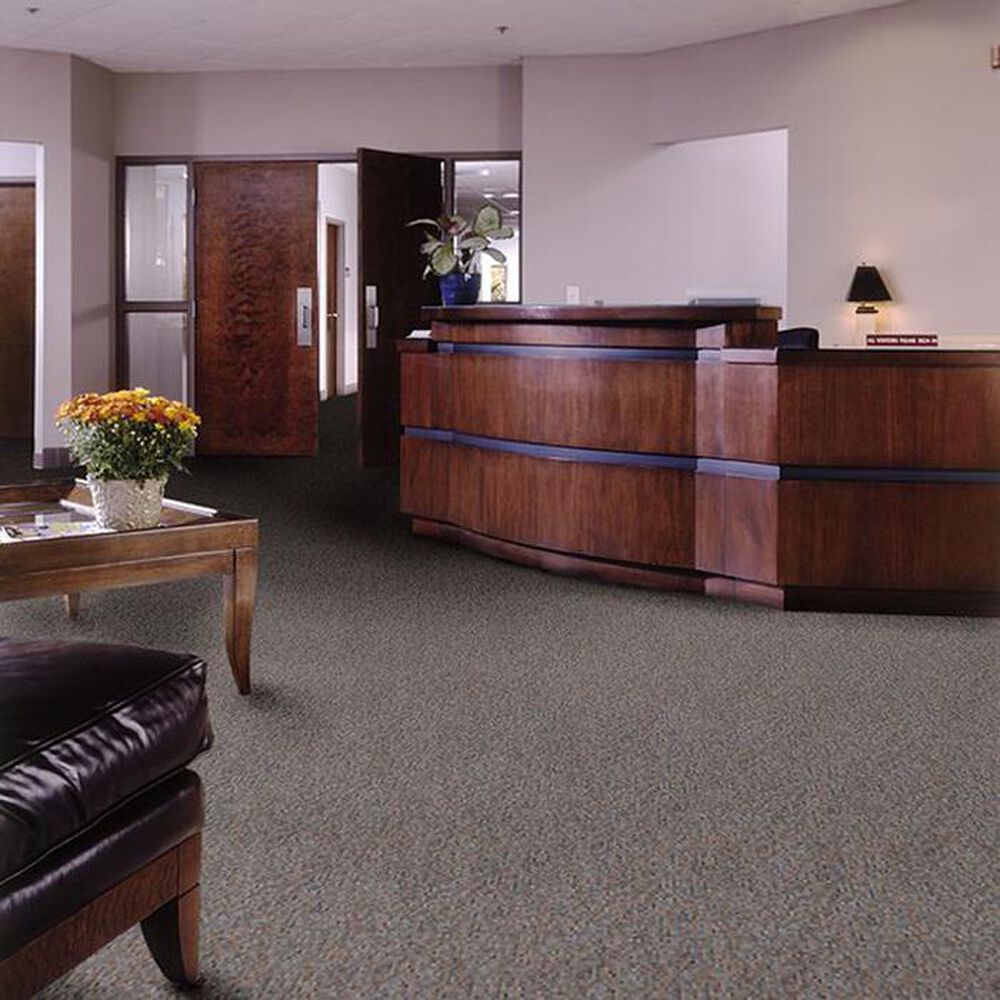 Shaw Sound Advice Carpet in Stay Active, , large