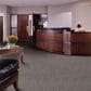 Shaw Sound Advice Carpet in Stay Active, , large