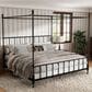 Furniture of America Elliot King Canopy Bed in Black, , large