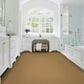 Karastan Greenwich Spirit Carpet in Ferris, , large
