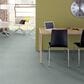 Shaw Find Your Comfort TT I Carpet in Distant Valley, , large