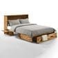 New Day Furniture Ranchero Queen Murphy Cabinet in Bakar with Mattress , , large