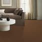 Anderson Tuftex Path Carpet in Sepia Tone, , large