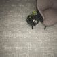 Kane Distinctive Carpet in Heirloom, , large