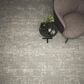 Kane Distinctive Carpet in Heirloom, , large