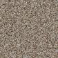 Shaw Trusplendor Carpet in Timeless Tan, , large