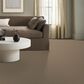 Anderson Tuftex Cypress Falls Carpet in Terra, , large