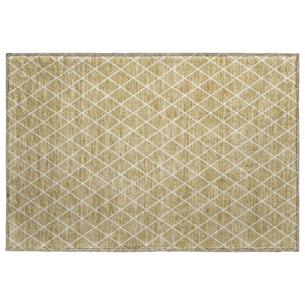 Dalyn Rug Company The Reserve TR15 Walnut 2"6" x 3"10" Indoor/Outdoor Area Rug, , large