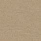 Shaw Perpetual Move Carpet in Espresso, , large