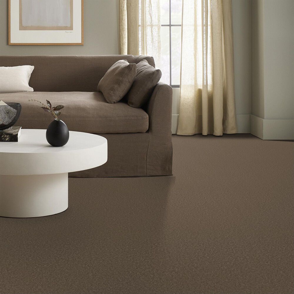 Anderson Tuftex Enchanting Carpet in Carafe, , large