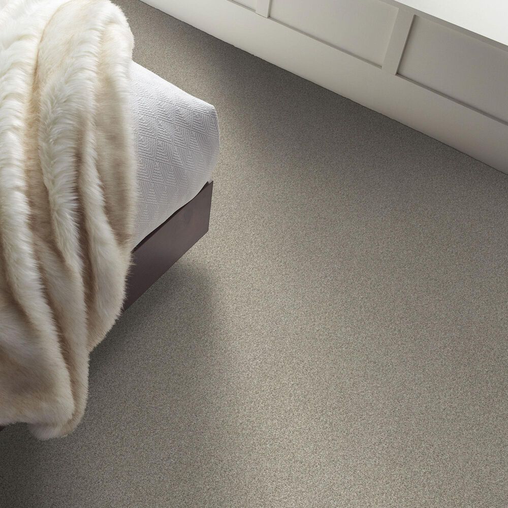 Shaw Comforting I Carpet in Rustic, , large