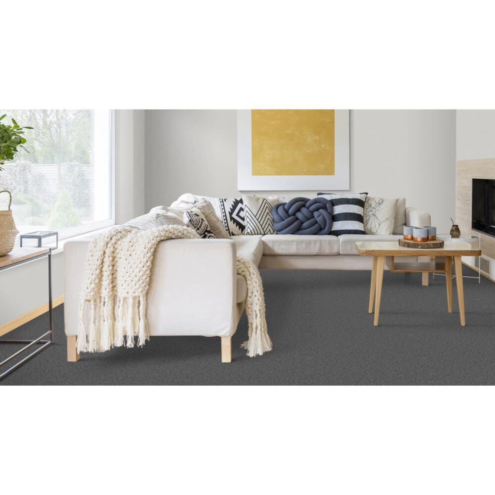 Dixie Home Devotion Carpet in Ebony, , large