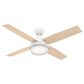 Hunter Dempsey 52" Outdoor Ceiling Fan with Lights in Fresh White, , large
