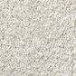Shaw Pure Comfort I Carpet in Whitewashed Frame, , large