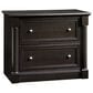 Sauder Palladia 2-Drawer Lateral File Cabinet in Wind Oak, , large