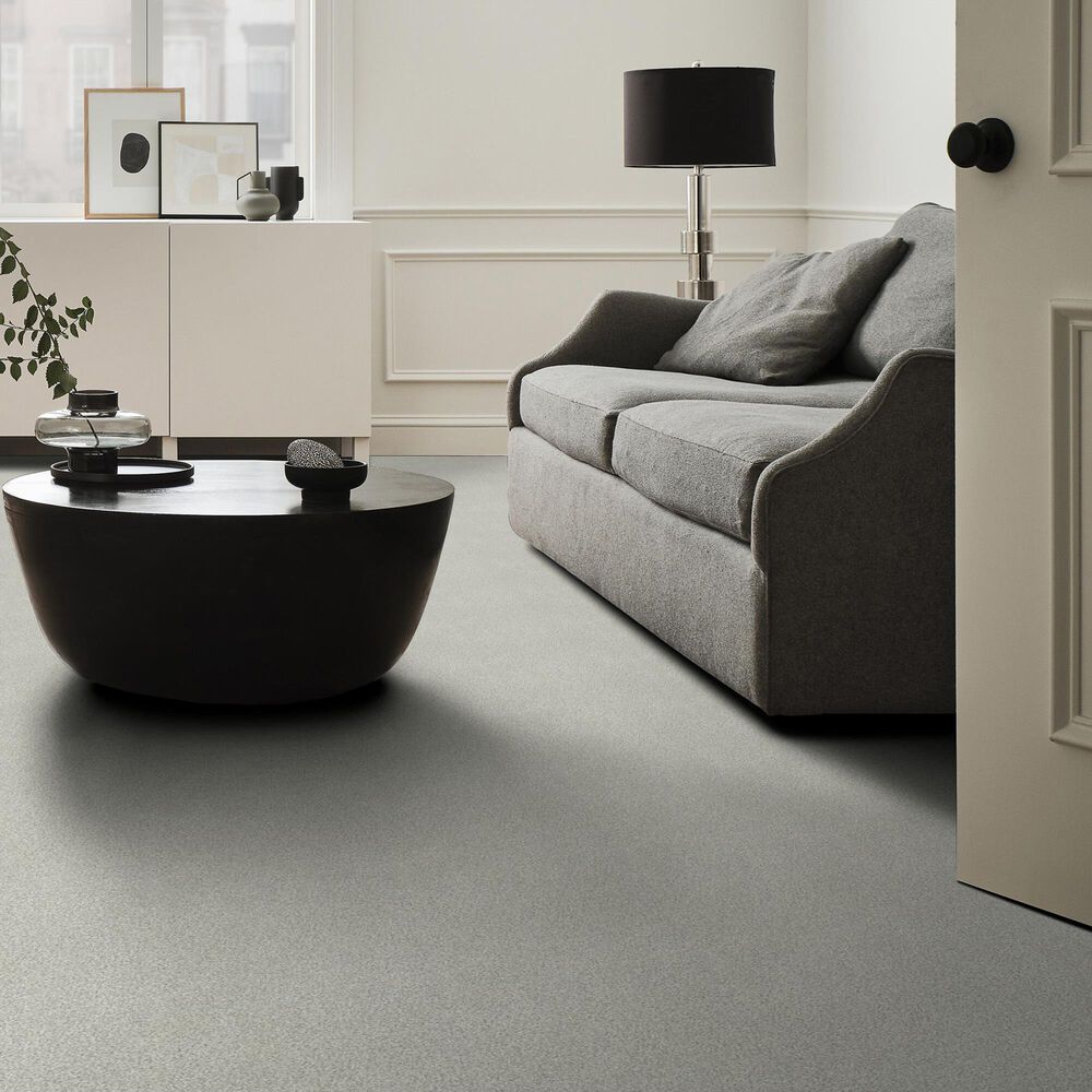 Shaw Tonal Comfort Ii Carpet in Chill In The Air, , large