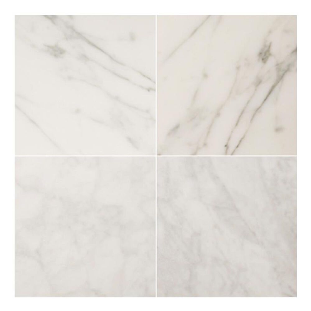 Emser Marble Bianco Gioia 18" x 18" Honed Natural Stone Tile, , large