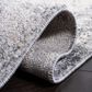 Safavieh Aston ASN704 9" x 12" Ivory and Grey Area Rug, , large