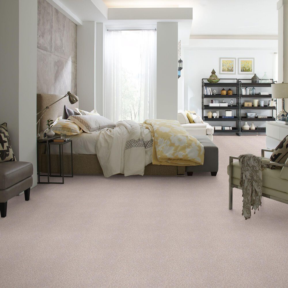 Shaw Find Your Comfort TT I Carpet in Evening in Paris, , large