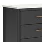 Ashley Cadmori 6-Drawer Dresser in Matte Black and White, , large