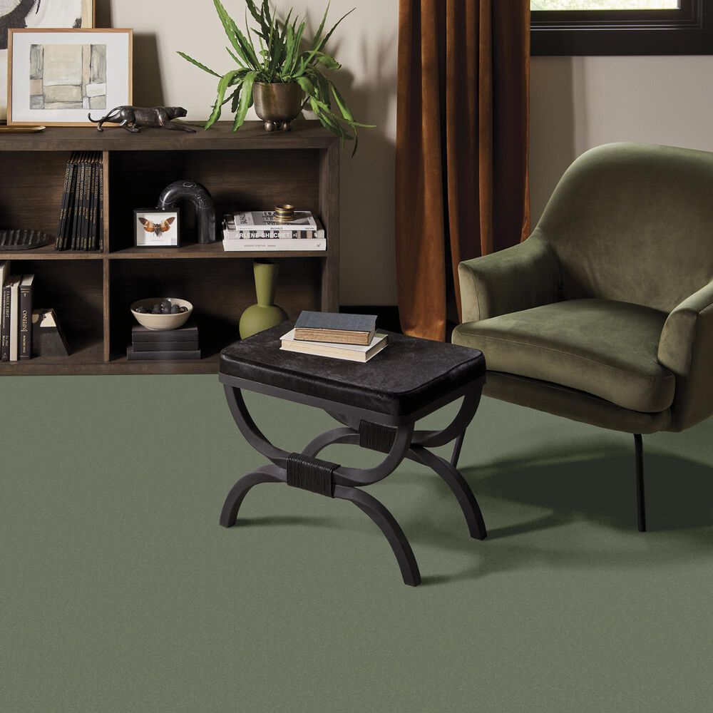 Anderson Tuftex Finery Carpet in Valley View, , large