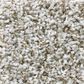 Shaw Break Away Tonal Carpet in Windy City, , large