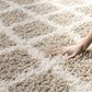 Safavieh Dallas Shag SGD258D-3 3" x 5" Beige/Ivory Area Rug, , large