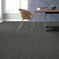 Anderson Tuftex Paw-Tay Carpet in Kendall, , large