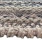 Capel Bayview 0036-340 8"6" Square Granite Area Rug, , large