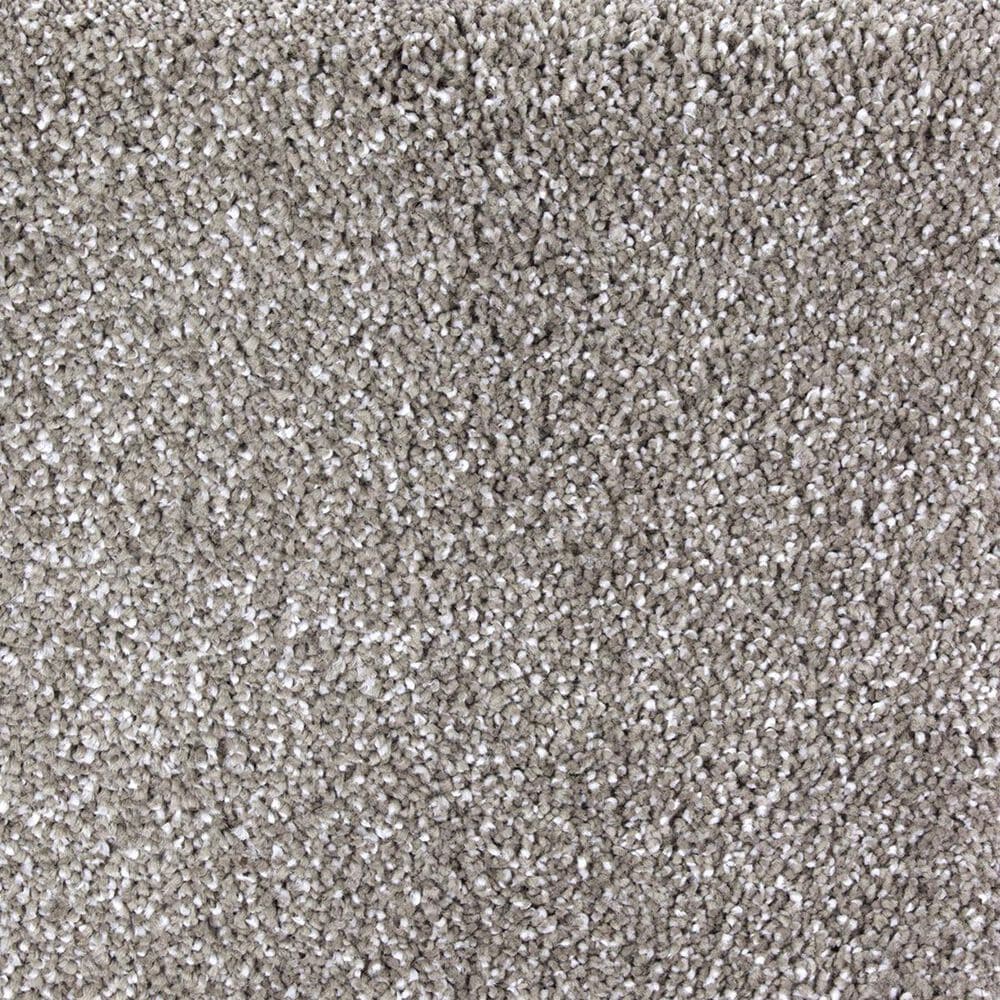 Mohawk Superior Taste Carpet in Garden Bramble, , large