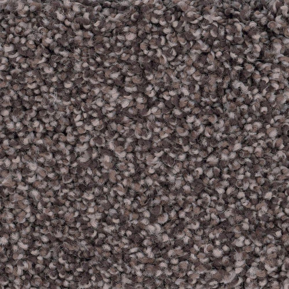 Anderson Tuftex Caress Cozy Harbor II Carpet in Burma Brown, , large