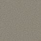 Phenix Merino Carpet in Pashmina, , large