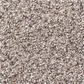 Shaw Foundations Take The Floor Accent II Carpet in Cold Springs, , large