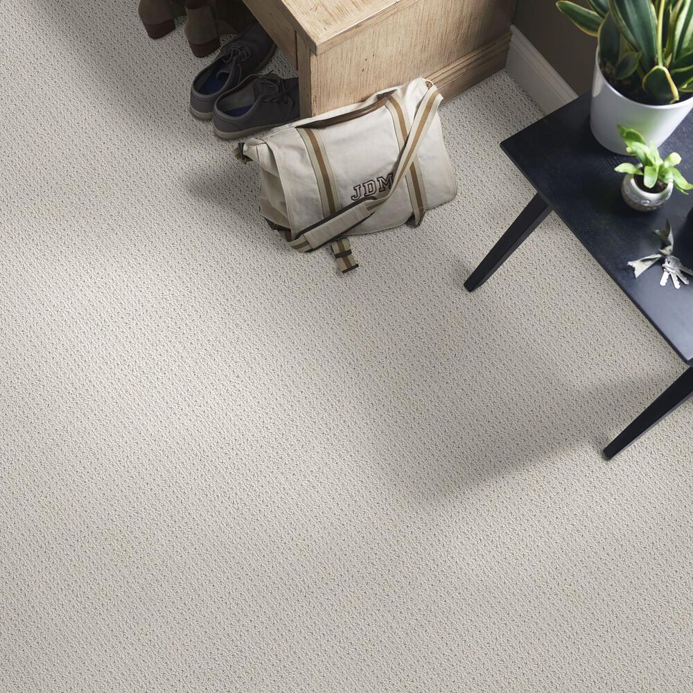 Anderson Tuftex San Lucas Carpet in Classic, , large