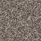 Shaw Remixed Classic Carpet in Nature Trail, , large