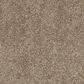Anderson Tuftex Barracan Classic III Carpet in Pebble Path, , large