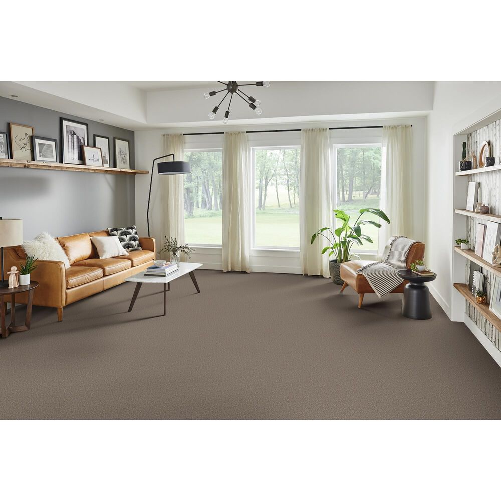 Phenix Sparta Carpet in Canyon, , large