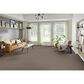 Phenix Sparta Carpet in Canyon, , large