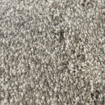 Dixie Home Debut Carpet in Days End, , large