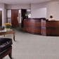 Shaw Capital III Carpet in Electoral Vote, , large
