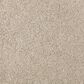 Mohawk Windsor Gardens II Carpet in Sand Dollar, , large