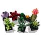 LEGO Botanicals Collection Succulents, , large