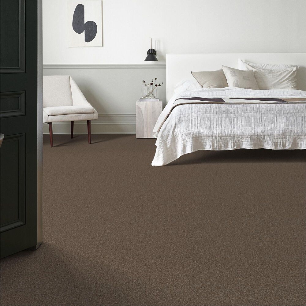 Anderson Tuftex Cypress Falls Carpet in Grizzly, , large